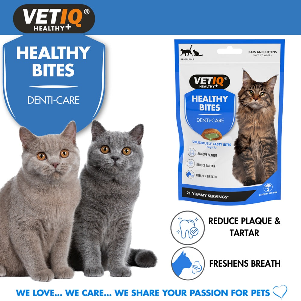 VetIQ Denti Care – Healthy Bites