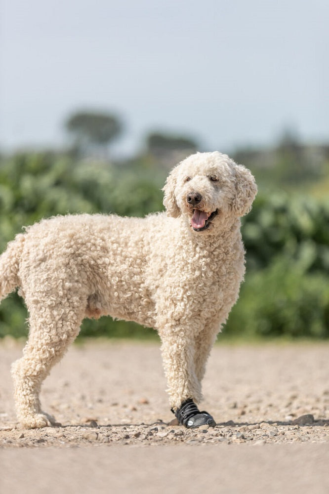 Walker Active - Protective Boots