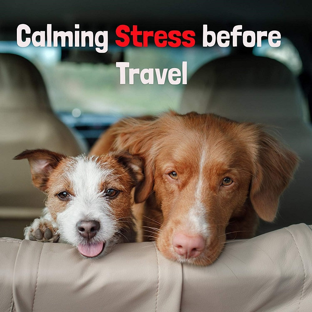 WashBar Lavender And Primrose Daily Spritzer For Dogs (Calming) 250ml