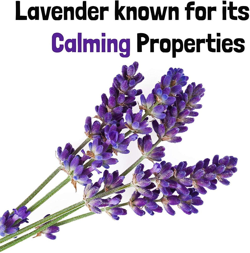 WashBar Lavender And Primrose Daily Spritzer For Dogs (Calming) 250ml