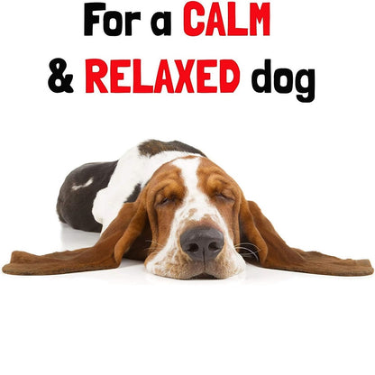 WashBar Lavender And Primrose Daily Spritzer For Dogs (Calming) 250ml