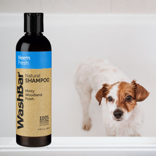 WashBar – Neem Fresh Natural Shampoo (250ml)