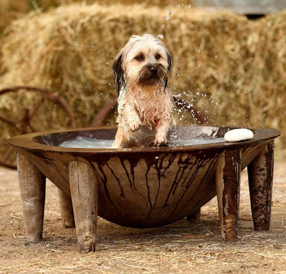 WashBar – Natural Puppy Shampoo - Argan & Lavender (250ml)