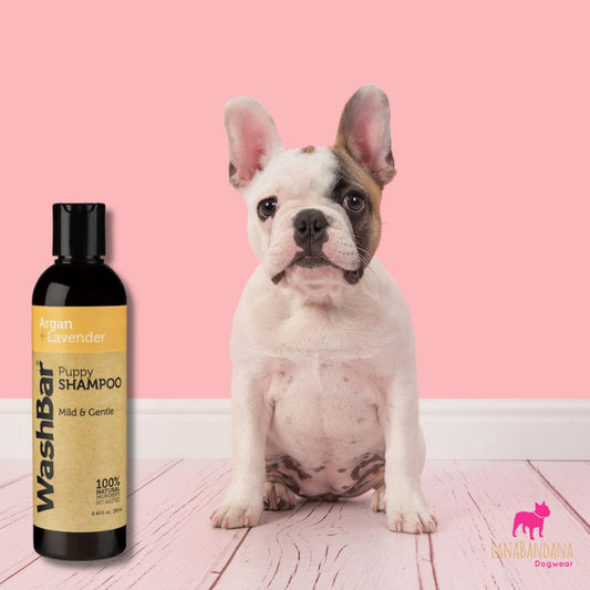 WashBar – Natural Puppy Shampoo - Argan & Lavender (250ml)