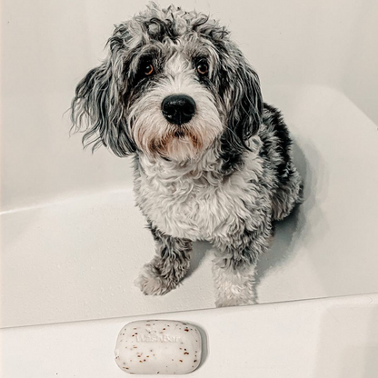 Original WashBar Soap for Dogs