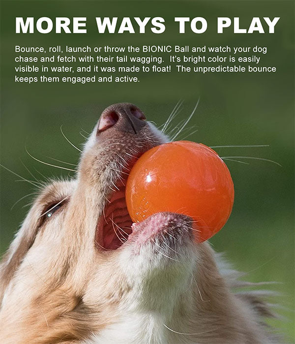BIONIC BALL – Durable Dog Toy for Power Chewers