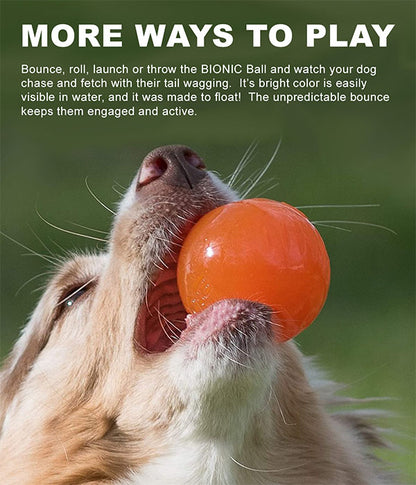 BIONIC BALL – Durable Dog Toy for Power Chewers