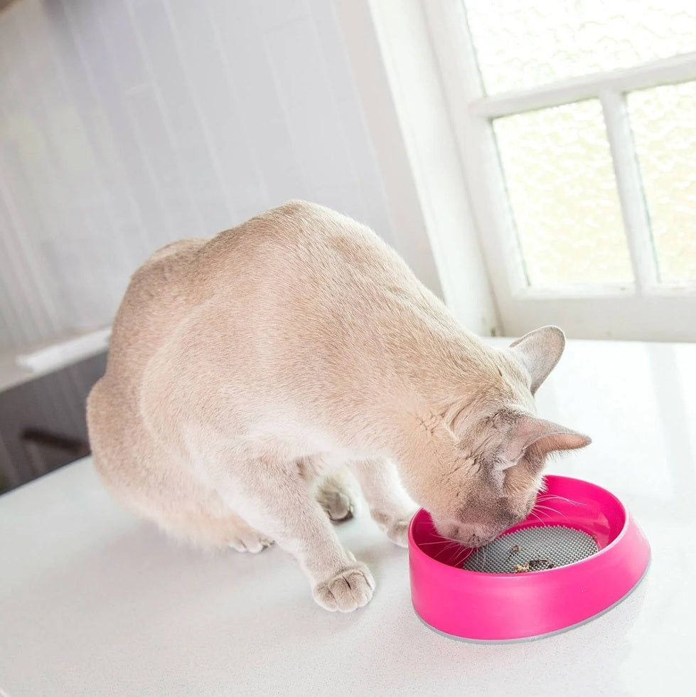 OH Bowl Cat by Lickimat