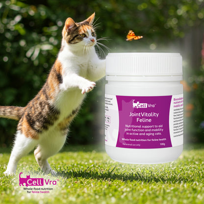 JointVitality Feline 100g