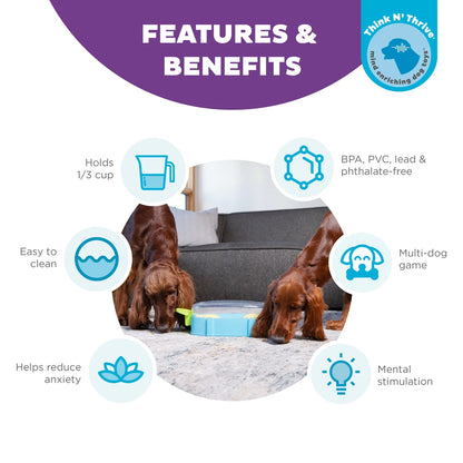 Paw N' Play Dog Puzzle, Dog Enrichment Toy