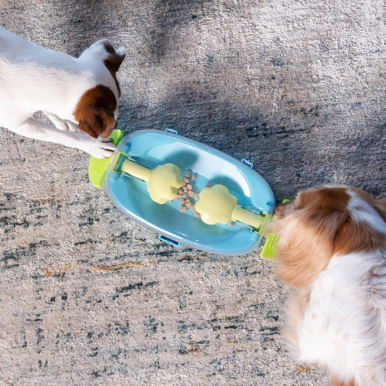 Paw N' Play Dog Puzzle, Dog Enrichment Toy