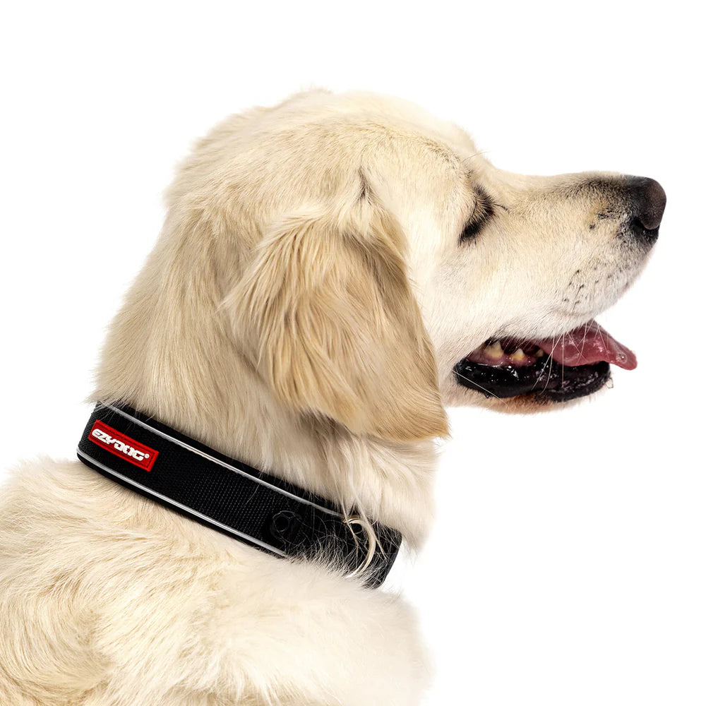EzyDog Neo Classic Collar