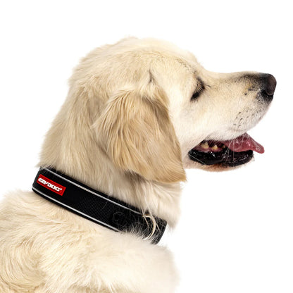 EzyDog Neo Classic Collar