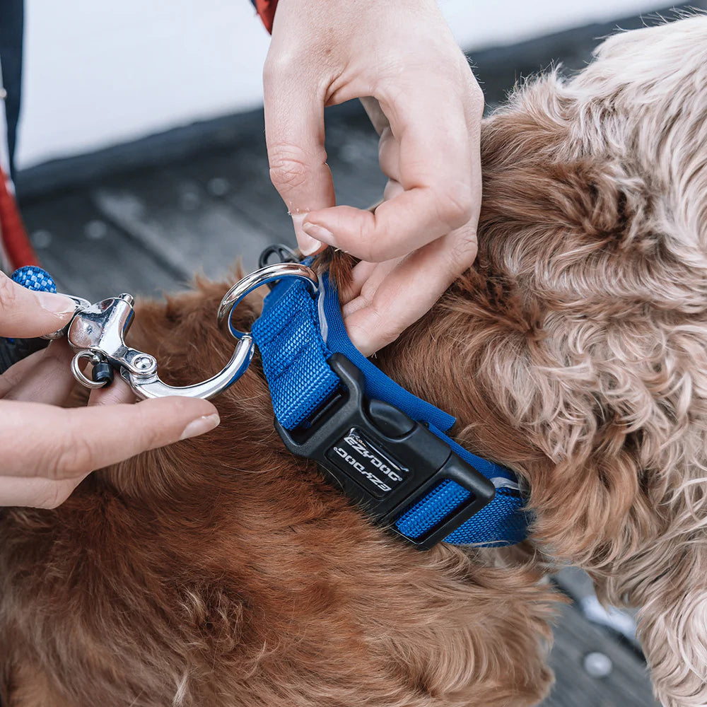 EzyDog Neo Classic Collar