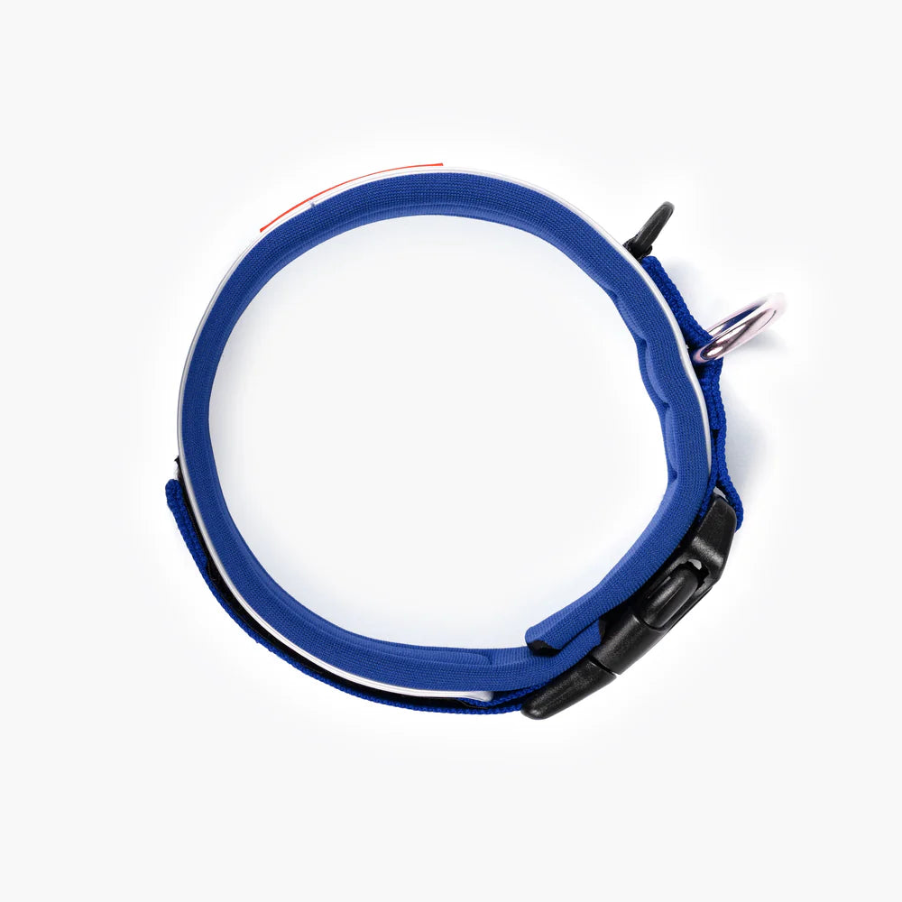 EzyDog Neo Classic Collar