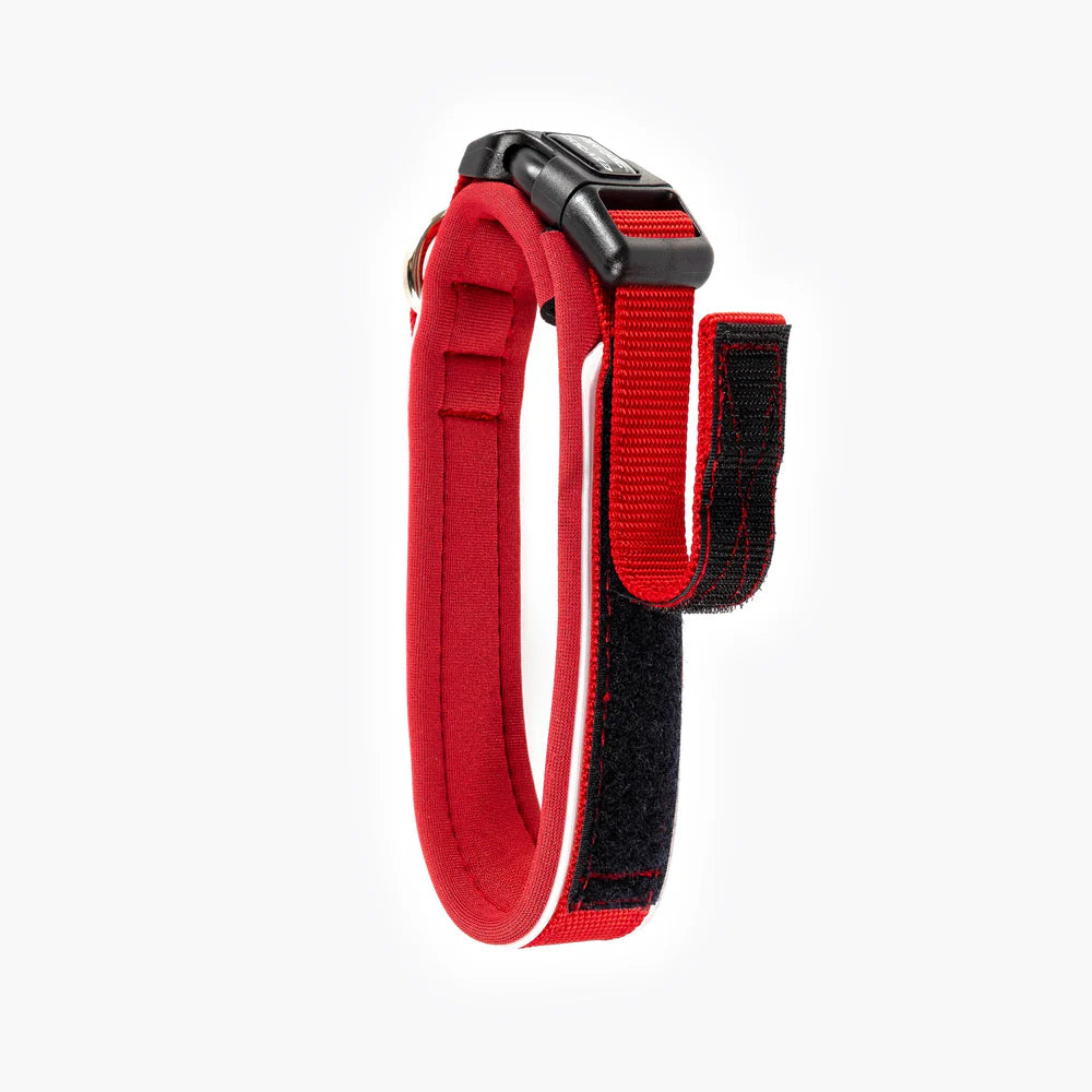 EzyDog Neo Classic Collar