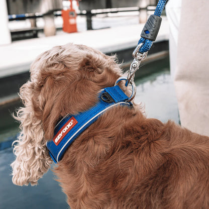 EzyDog Neo Classic Collar